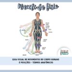 Guia Visual de Movimentos e posições do corpo